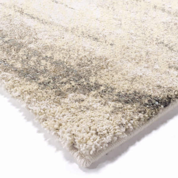 Orren Ellis Shellenbarger Performance OffWhite Rug & Reviews Wayfair